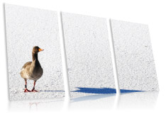 Moderne Wandbilder Moderne Wandbilder